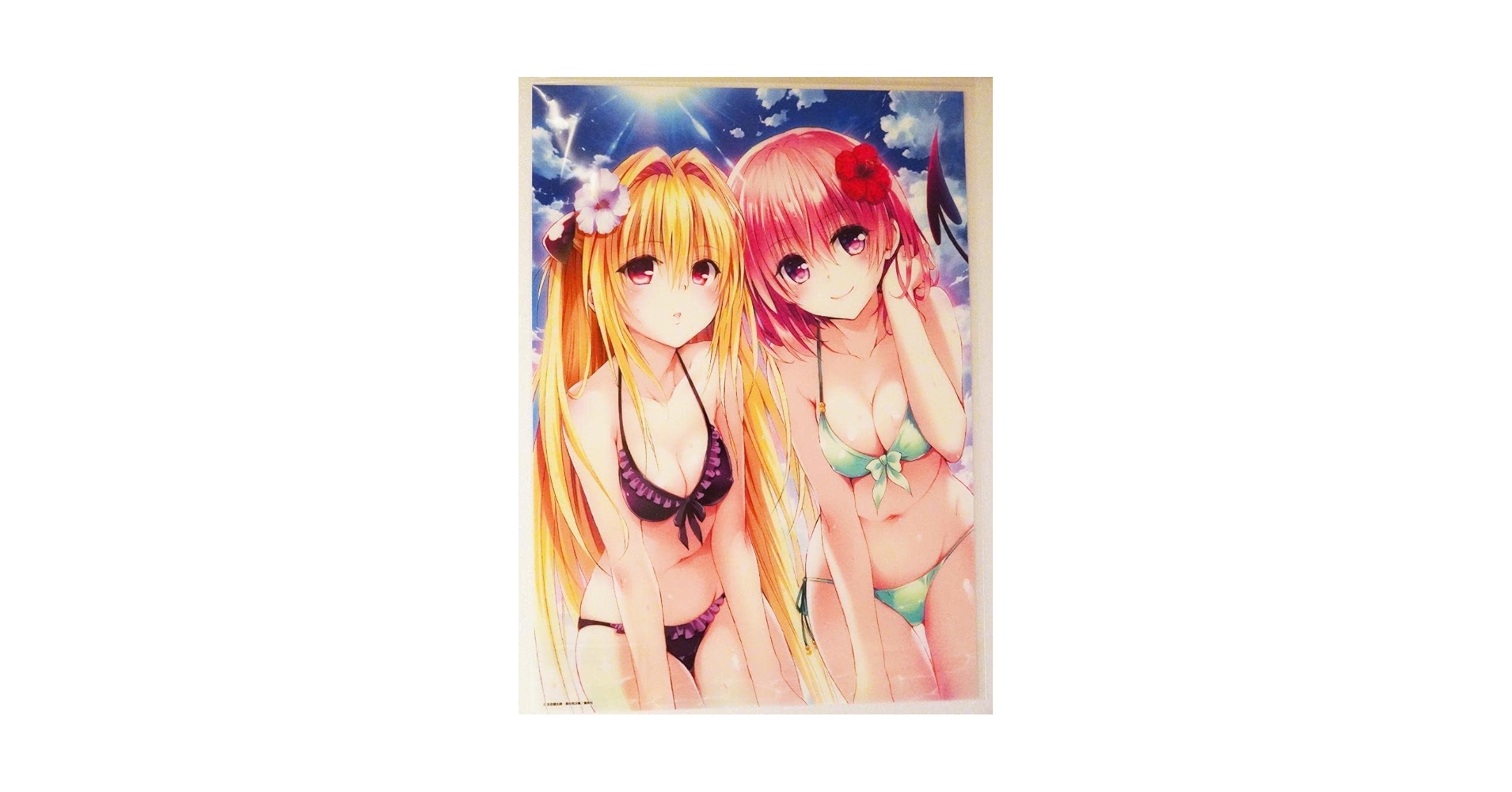 Amazon.co.jp: ToLoveる原画展 グッズ A3クリアポスター モモ
